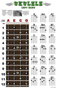 Baritone Ukulele Fretboard Chart