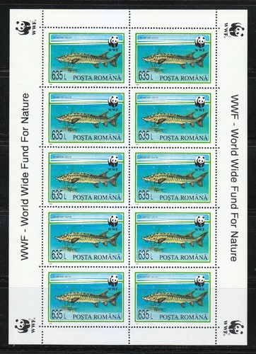 Romania 1994 nuovo di zecca Sc 3954-3957 Mi 5034-5037 Sturgeon. Pesce. WWF. Set di KLB ** - Foto 5 di 5