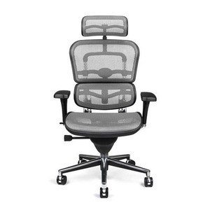 New Gray Mesh Office Chair Raynor Ergohuman Me7erg Ebay Image Is Loading New Gray Mesh Office Chair Raynor Ergohuman Me7erg