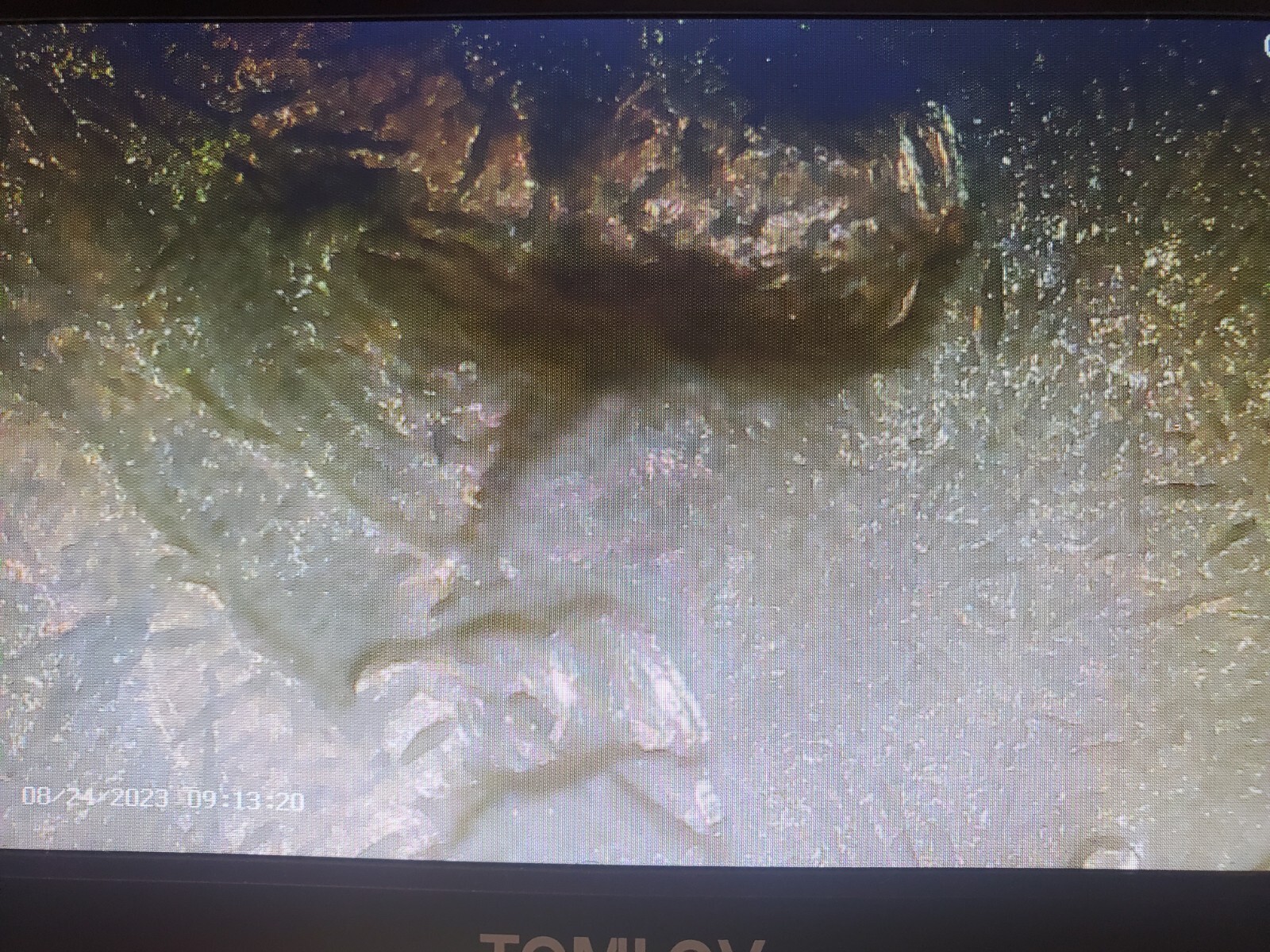 Picture 21 of 24