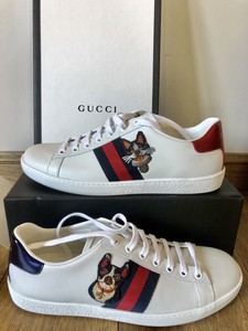 gucci ace cat