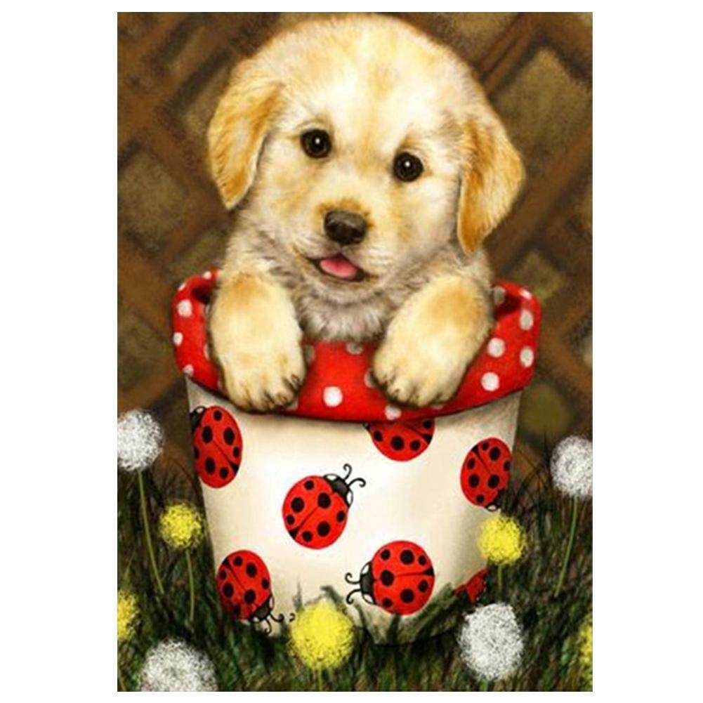 Diamond Painting Kit 