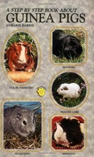 Step-by-step Book About Guinea Pigs by Barrie, Anmarie Paperback / softback The