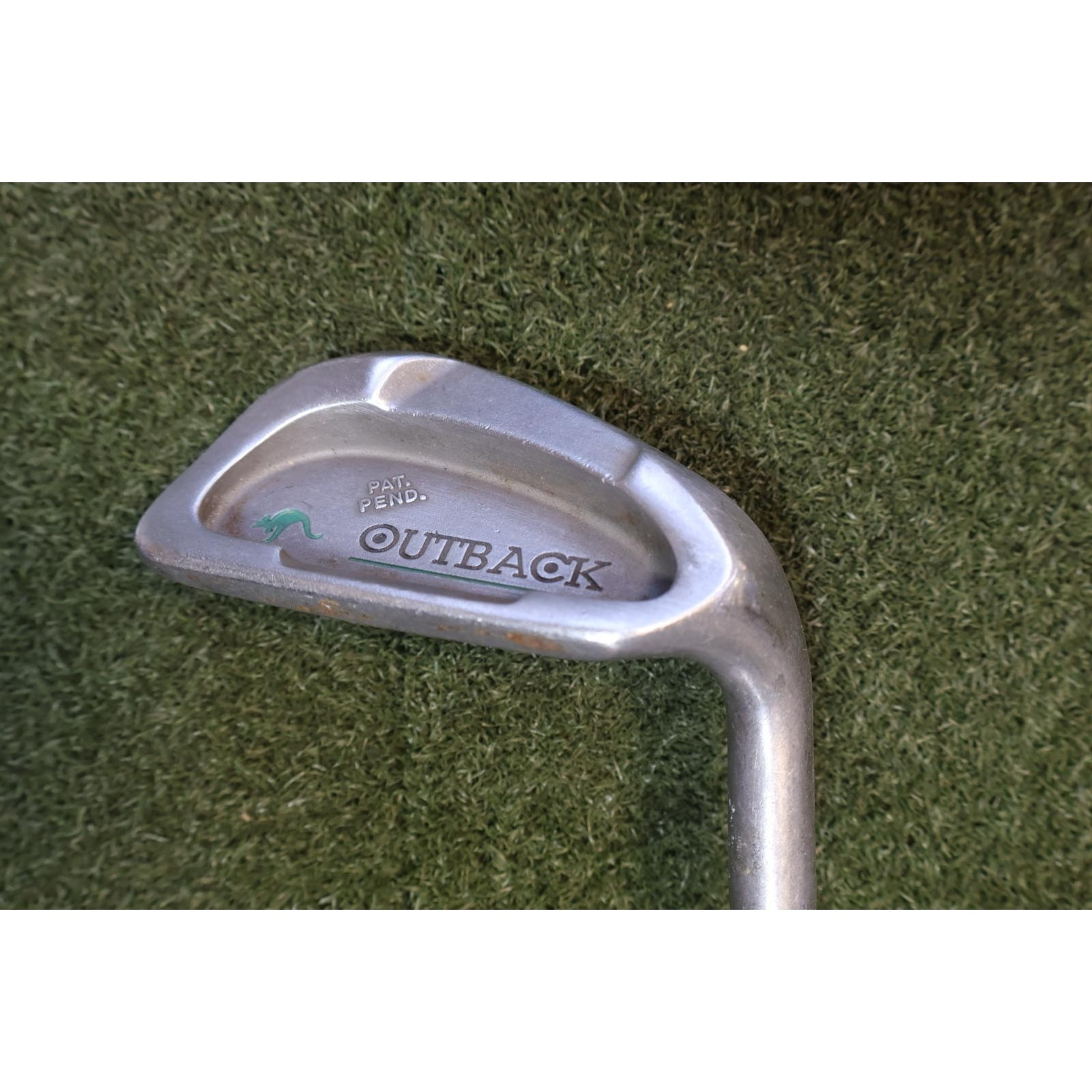 Pal Joey Outback True Temper R Flex 35