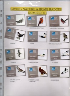 RSPB BADGES GIVING NATURE A HOME X 12 BADGES PPOP