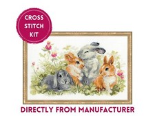 RIOLIS gezähltes Kreuzstich-Set 1416 lustige...