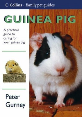 Guinea pig book fiction picture