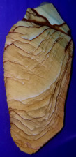 PREMIUM AAA+ Oregon Vistaite Jasper Slab Picture Jasper Rough Cabochon (GeM)#066