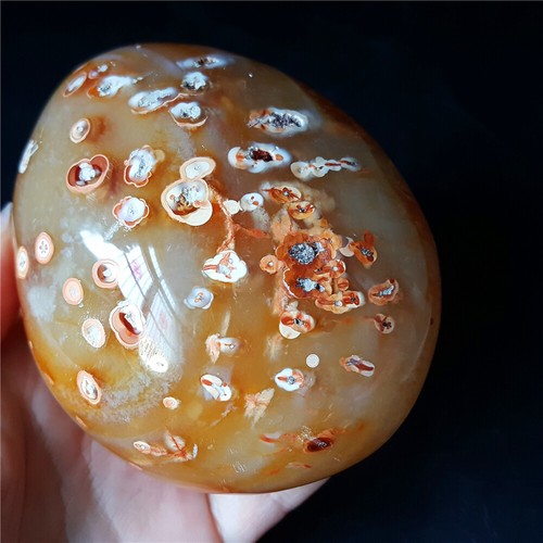 RARE 544 g Natural Polished Silk Banded Lace Agate Crystal Madagascar YO262 - Picture 7 of 12