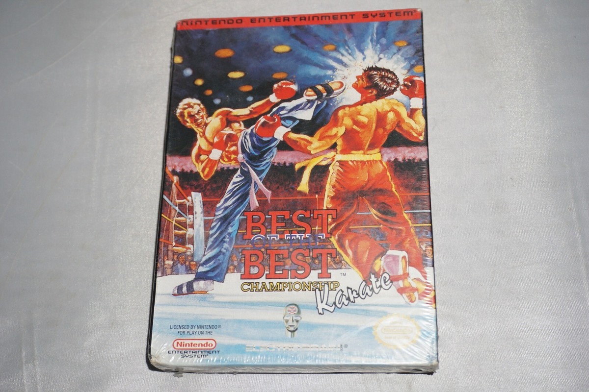 Best of the Best: Championship Karate (Nintendo Entertainment