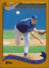 2002 Topps #53 Brian Meadows Kansas City Royals Baseball Card