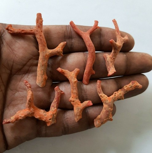 AAA+ Quality 100% Natural Italian Red coral Rough Loose Branch Tree gemstone. - Picture 7 of 7