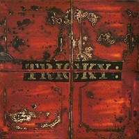 Tricky - Maxinquaye - Vinyl Record - F99Z