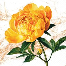  2 Two Paper Lunch Napkins for Decoupage/Mixed Media - Peony Blossom flower