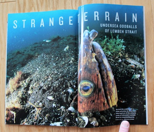 National Geographic noviembre 2005 Longevidad; Acadia; Nepal; Ocelotes; Cartas de guerra - Imagen 9 de 11