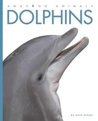 Amazing Animals: Dolphins