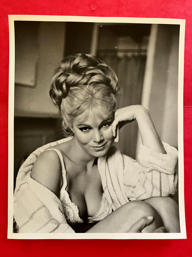 Susan Denberg "Frankenstein Created Woman" original vintage press glamour photo - Picture 2 of 2