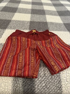 Iowa State Youth Swimming Trunks size 4T