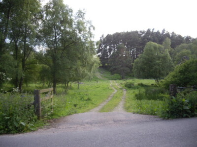 Photo 6x4 Farm track (June) Bridge of Canny At east end of Bog Loch. c2009