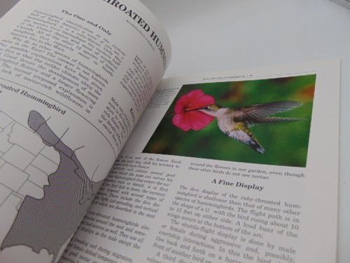 Stokes Kolibri Buch: Der komplette Leitfaden für... 1989 Donald & Lillian Stokes - Bild 10 von 10