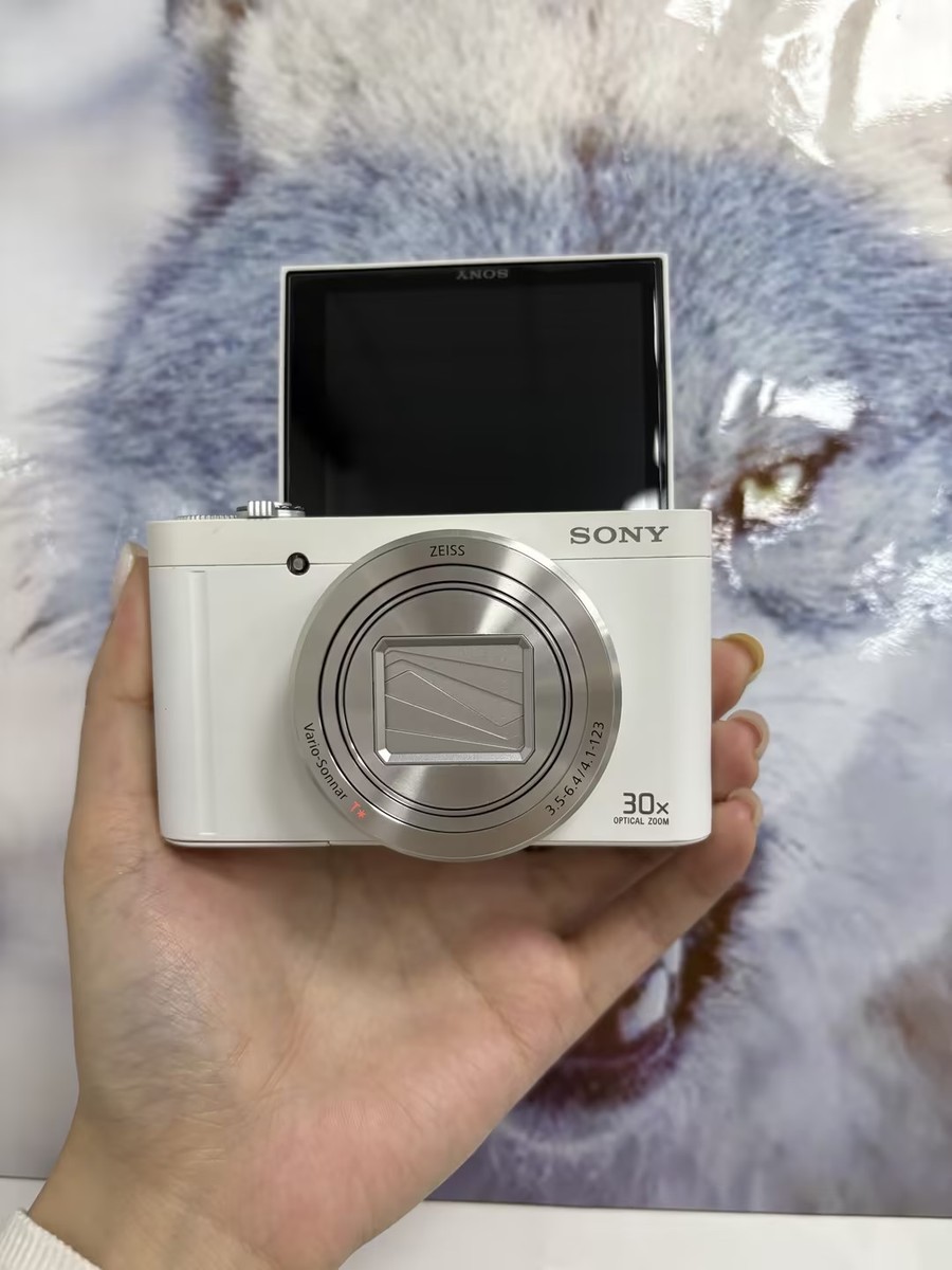 30x Optical Zoom Sony Dsc Wx500 As Webcam Sony WX500 Vs Sony WX30