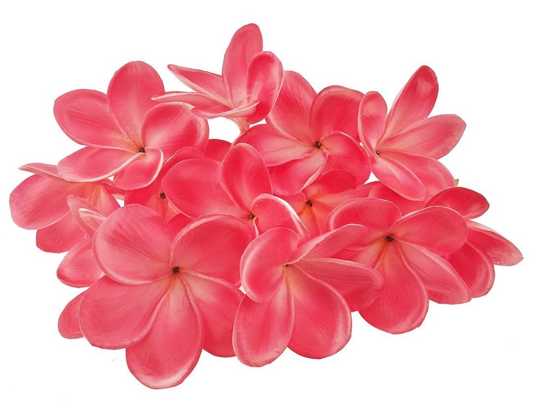 Fleurs de frangipanier artificielles en latex sans entretien pour grand vase