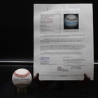 Ted Williams Signed Rawlings OAL Baseball Red Sox Autograph JSA LOA ZJ22898