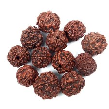 10 Large size Brown Rudraksha Seed Style Round Buddhist Mala Meditation Beads