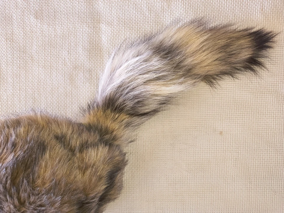 Gorra REAL COYOTE TAIL - Hecha a mano nueva con etiquetas - Grande - Ligera Foto 2 de 3