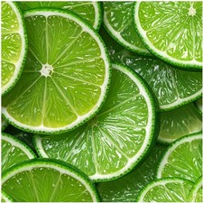Tile Mural Green Lime Slices Fresh Fruit Kitchen Bathroom Shower Wall Backsplash