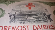1929-1959 AKTIE 25 SHARES FORMOST DAIRIES, INC GUT ERHALTEN GEFALTENEN ZUSTAND