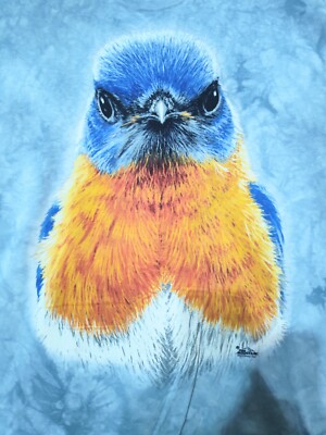 The Mountain T Shirt Men's Blue Eastern Bluebird Retired Logo 2XL #572 NWOT