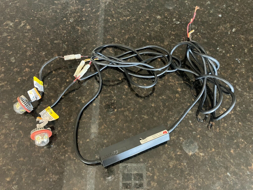 Federal Signal LED Flasher Module 416205 with Two LED Flasher Lights 416201-05