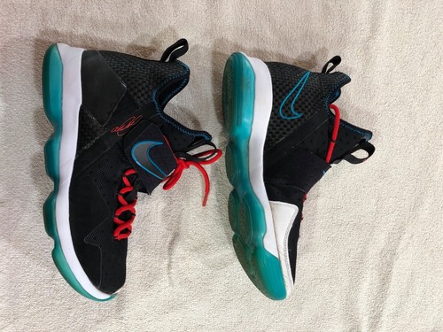 nike lebron 14 red carpet