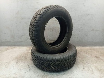 2 STÜCK Winterreifen Inag+ PROFIL 185/65 R14 86T