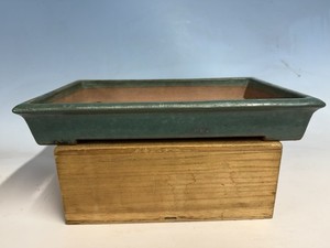 kaedebonsai-en | eBay Stores