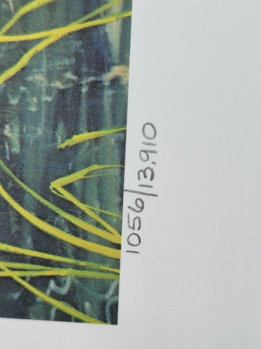1988 Vermont Duck Stamp Print and Stamp Jim Killen Black Ducks Limited Ed Signed - Picture 4 of 9