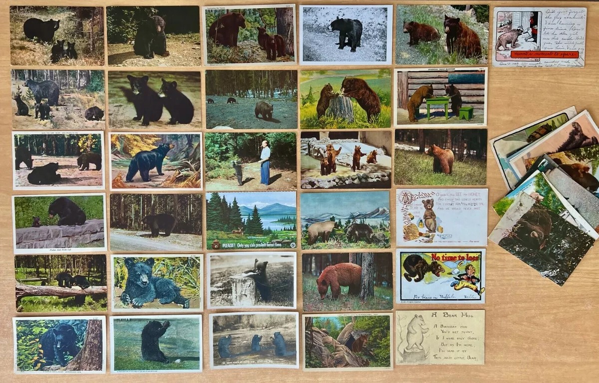 Lot of 45 Antique & Vintage Postcards ALL WITH ILLUSTRATIONS