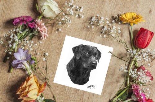 Mike Sibley Black Lab dog breed Labrador greeting card happy birthday thank you - Picture 2 of 3