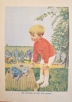 Katzen The Kittens IN The Fish Basket Fische Cat Katze Kätzchen 1910 Arzt