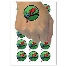 Parrot on Branch Bird Sketch Solid Temporary Tattoo Water Resistant Body Art Set