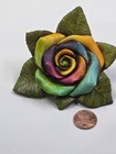 Neil Eyre Eyredesigns Valentine Love LGBTQ Pride Full Open Vibrant Rainbow Rose — photo 4