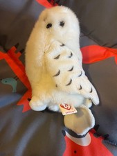 Rare Borders Exclusive Ty Beanie Baby KnOWLedge the Owl - Excellent Condition