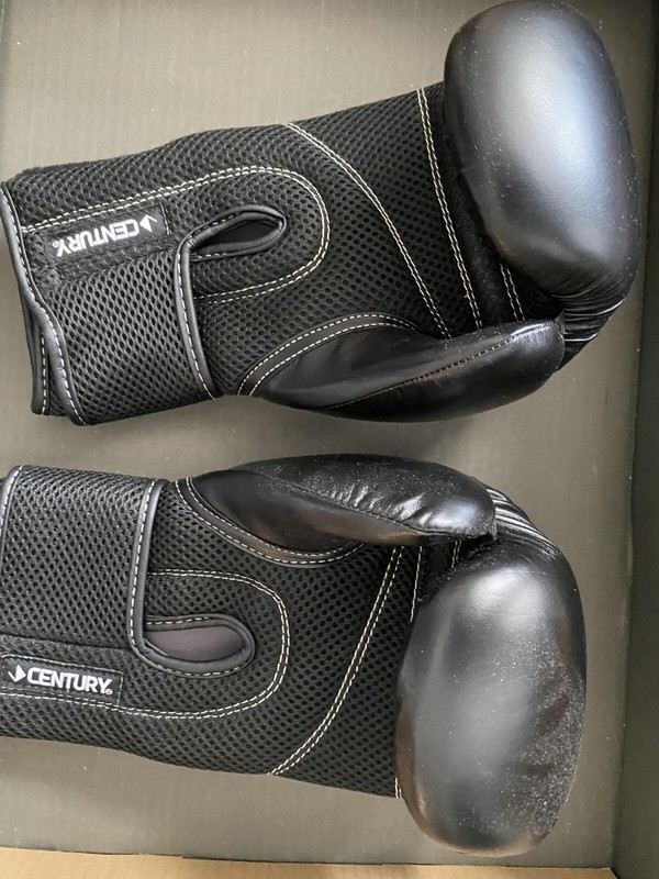 I love kickboxing 12 oz Boxing gloves