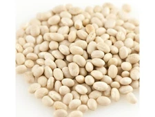 Organic Navy Bean Beans 2 Pounds Free Shipping