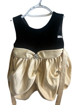Cinderella Infant Girls Semi Formal Dress Size 18 Months
