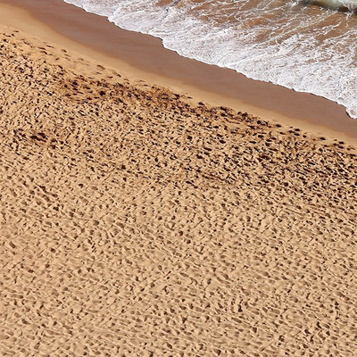 AK Interactive AK8019 - Terrains Beach Sand 250ml - Acryl Textur Modellbau