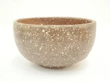  Sawa Kiyotsugu Shigaraki Chawan Tea Bowl Pottery with Tomobako Japan 