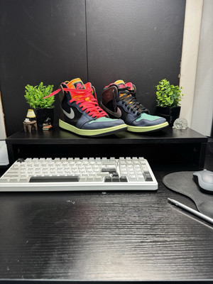 Jordan 1 Biohack | eBay