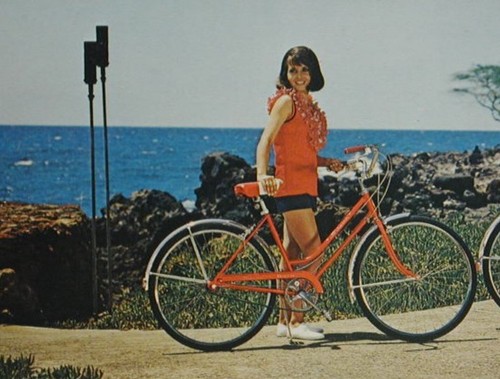 77 Vintage SCHWINN 46T Crank Arms Chainring bearings Cone nut BREEZE CRUISER 70s - Picture 21 of 22